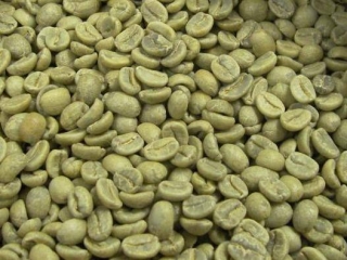 Zelená káva,Brazilská zrnková káva  Brasil Santos 100% arabica 1 kg 